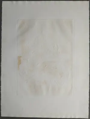 Ru van Rossem - Camargue - gesigneerde reliëf ets kopen? Bied vanaf 79!