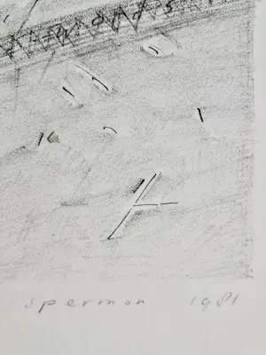 Kees Spermon - Litho "No...words I" kopen? Bied vanaf 10!