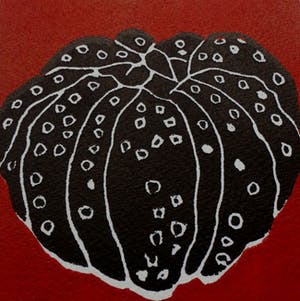 Beatrice Kluivers - 2-kleurenlino - 1991 kopen? Bied vanaf 35!