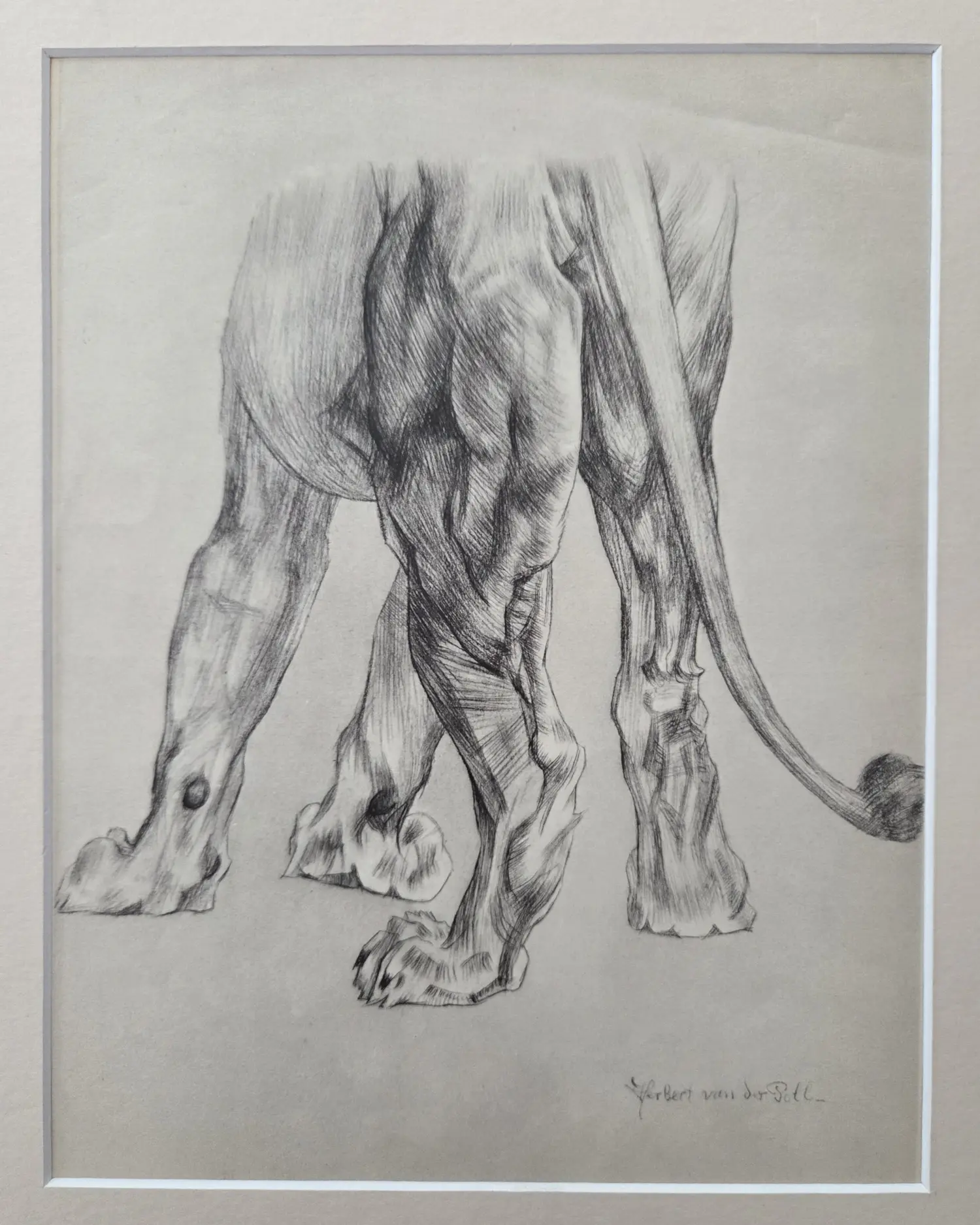 Herbert van der Poll (1877-1963)