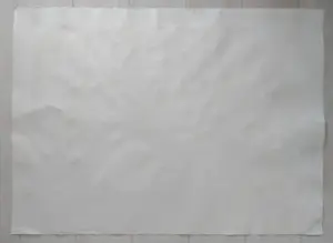 Jelle Hoogstra - Bloemstilleven kopen? Bied vanaf 1!