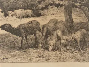 Jules Hereau - Les moutons de Claudine kopen? Bied vanaf 1!