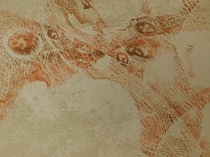 Dang Lebadang - Les Zèbres III kopen? Bied vanaf 20!