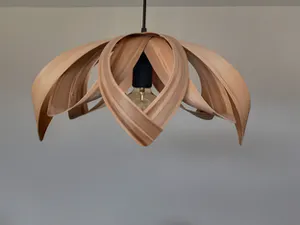Niet of onleesbaar gesigneerd - Hanglamp kopen? Bied vanaf 1!
