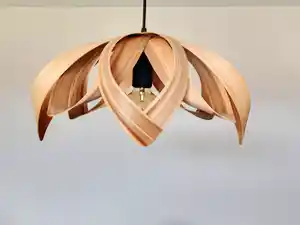 Niet of onleesbaar gesigneerd - Hanglamp verkocht voor € 1!