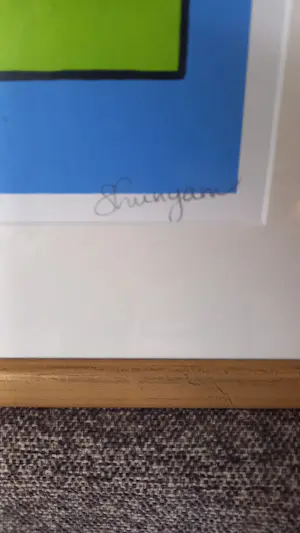 Shunyam - Kleurig hart. kopen? Bied vanaf 35!