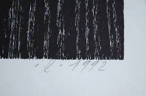 Franz Eggenschwiler - Donnerpfeile II, 1992 - Originele houtsnede, handgesigneerd kopen? Bied vanaf 160!