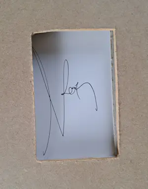 Koen Vanmechelen - Fighter kopen? Bied vanaf 495!