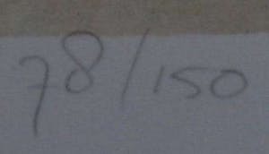 Charlotte Molenkamp - grote zeefdruk: kat kopen? Bied vanaf 75!