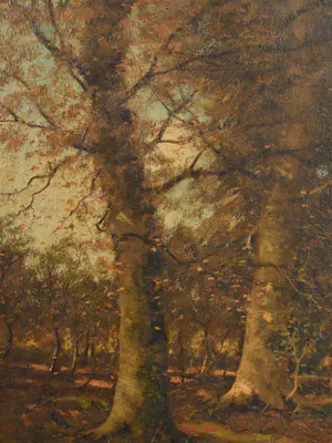 Pieter ten Cate - Bospad kopen? Bied vanaf 200!