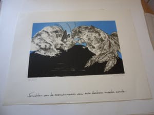 Ans Wortel - Zeefdruk. Titel, Temidden van de overwinnaars van onze dierbare moeder aarde . kopen? Bied vanaf 50!