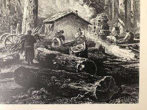 Niet of onleesbaar gesigneerd - Houtbewerkers in het bos kopen? Bied vanaf 1!