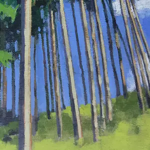 Willem Visser - Naaldbomenbos kopen? Bied vanaf 130!