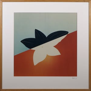 Jean Ruiter - Foto, Haemaria discolor dawsomniana - Ingelijst kopen? Bied vanaf 35!