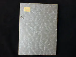 Wim Schuhmacher - Zelfportret met dode zwaluw kopen? Bied vanaf 50!