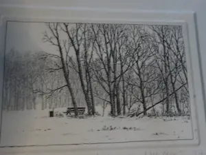Wim van der Meij - Wim van der Meij - Landschap kopen? Bied vanaf 48!