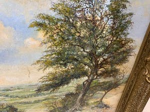 Joop Stoffels - Wageningen kopen? Bied vanaf 25!