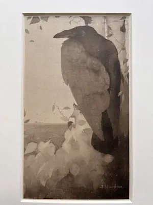 Jan Mankes - Originele Heliogravure Raaf in Berkenboom 1923 kopen? Bied vanaf 155!