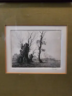 Frans Manders - Boomstronk kopen? Bied vanaf 50!