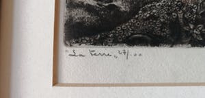 Maurice Langaskens - La terre kopen? Bied vanaf 40!