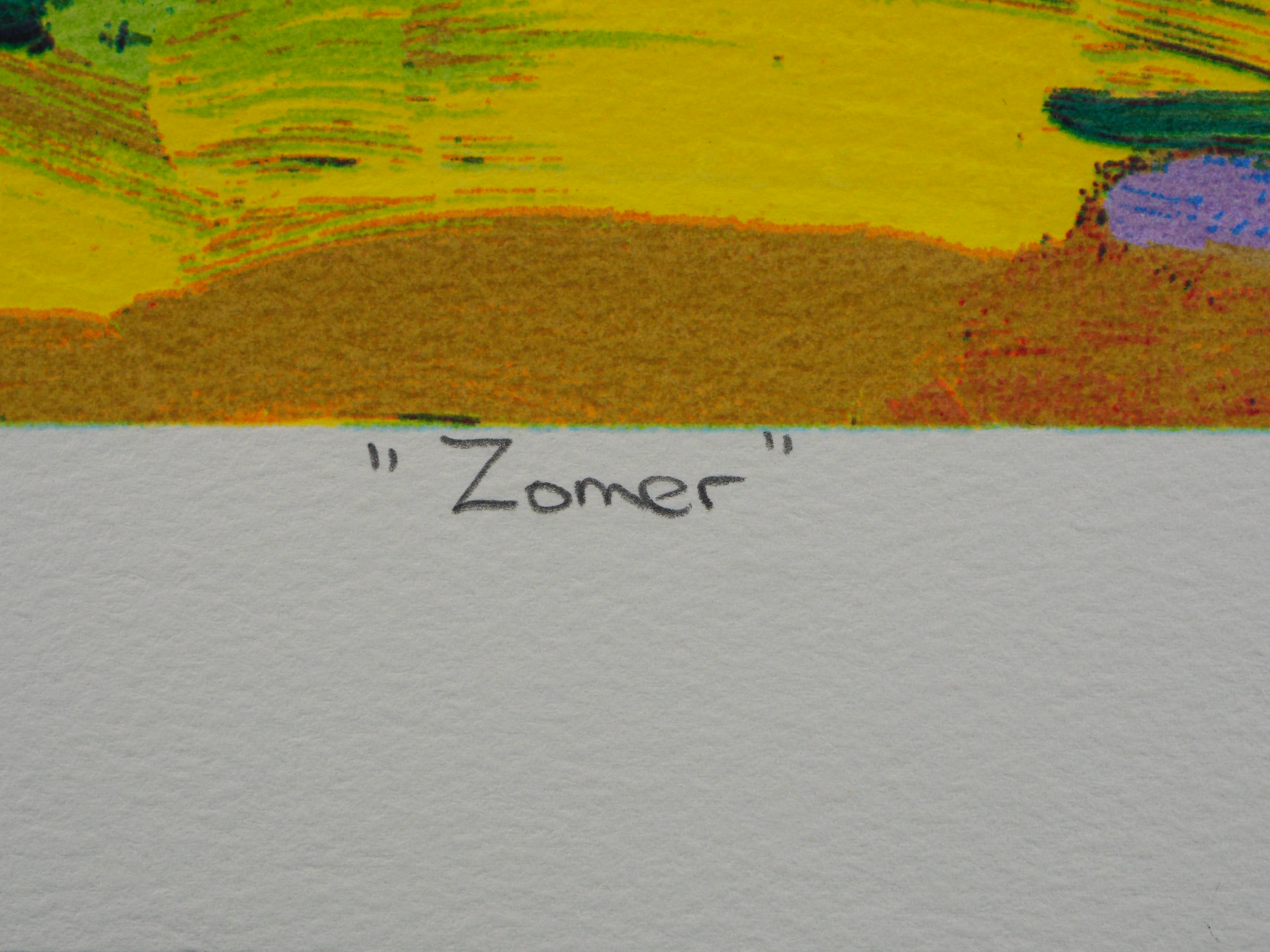 Jentsje Popma - Zomer kopen? Bied vanaf 60!