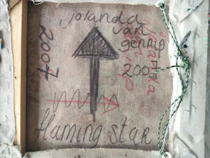 Jolanda van Gennip - Flaming Star kopen? Bied vanaf 1250!