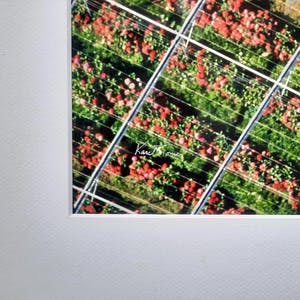 Karel J.A. Tomei - Westland tuinderij van bovenaf - originele foto kopen? Bied vanaf 45!