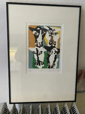 Francis Hoogland - 3-luik Koeien kopen? Bied vanaf 200!