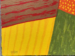 Ronald Boonacker - Tulpenvelden, Holland kopen? Bied vanaf 65!