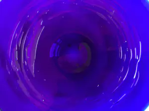 Jan Beranek - Cobalt blauwe glazen schaal met lucht slierten kopen? Bied vanaf 65!