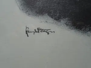 Remi De Pillecijn - geen titel kopen? Bied vanaf 50!