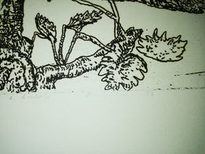 Carst Lulofs - Slagveld kopen? Bied vanaf 15!