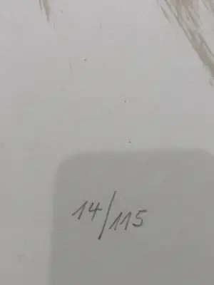 Otto Bachmann - Blumenhut kopen? Bied vanaf 40!