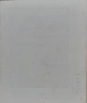 Maria Sybilla Merian - Nr. XXX “Saule a feuille large” kopen? Bied vanaf 150!