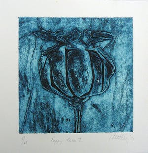 Niet of onleesbaar gesigneerd - Hot Bed Press 2012-Print exchange / portfolio grafiek kopen? Bied vanaf 1!