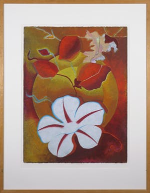 Jan van Delft - Zeefdruk, Morning glory I - Ingelijst kopen? Bied vanaf 1!