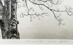 Wim van der Meij - Capelle aan de IJssel kopen? Bied vanaf 69!