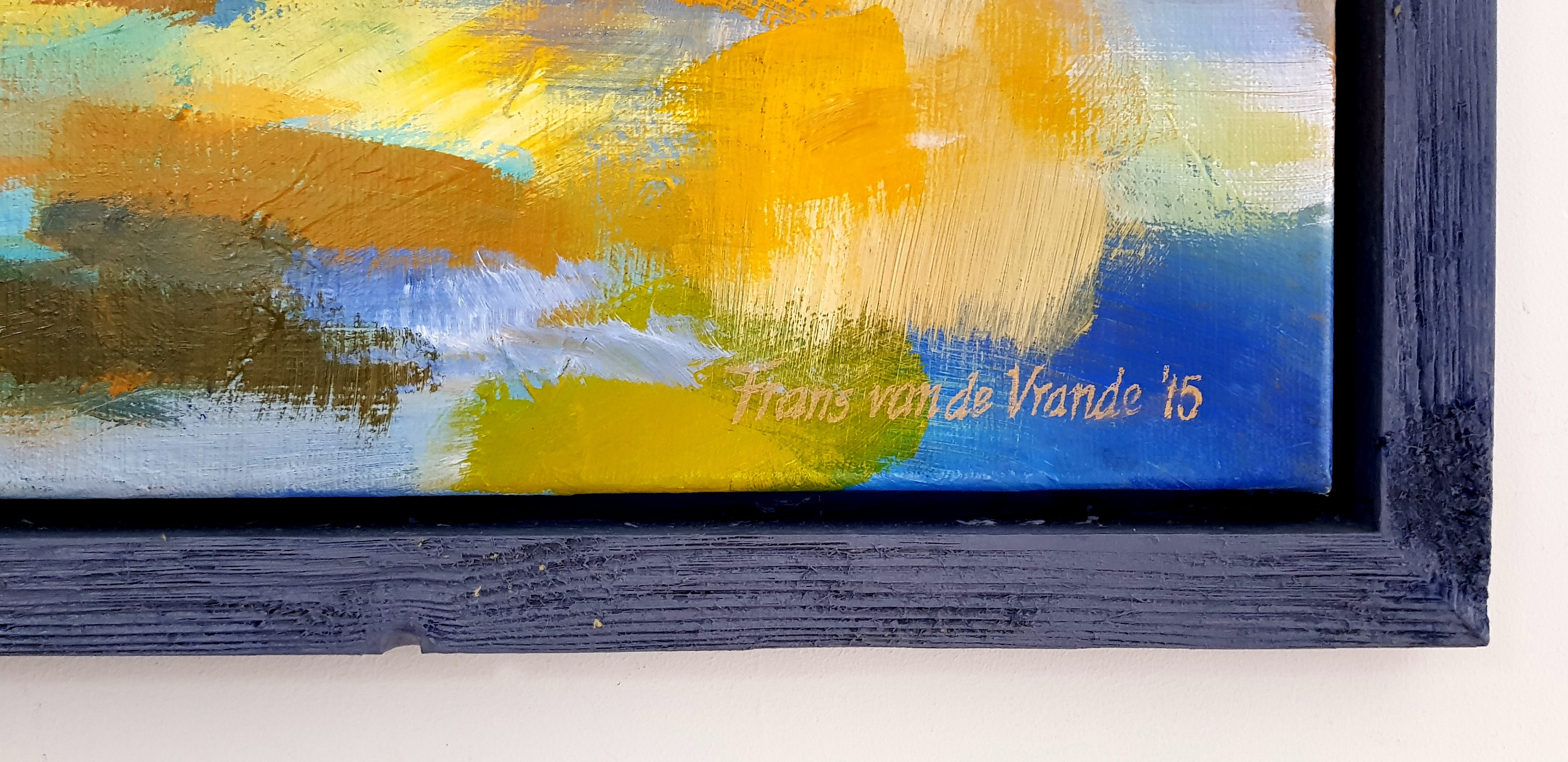 Frans van de Vrande - Strandwandeling kopen? Bied vanaf 395!