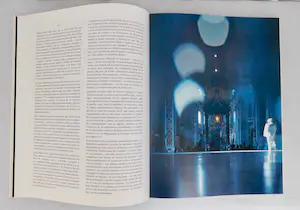 Vic Gentils - Apostolorum Limina Brons kopen? Bied vanaf 50!