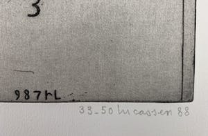 Reinier Lucassen - grote ets - 'Idol 3' - 1988 (Kleine oplage) kopen? Bied vanaf 140!