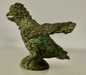 Tosca van den Haak - Brutaal vogeltje kopen? Bied vanaf 595!