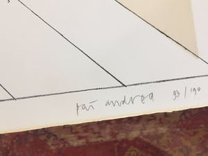 Pat Andrea - zomeravondtraining kopen? Bied vanaf 45!