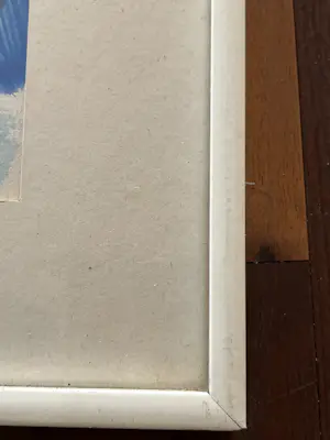 Richard Smeets - Zwarte hond kopen? Bied vanaf 100!