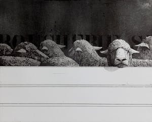 Rene Polak - Boucherie, aquatint ets (zeer kleine oplage) kopen? Bied vanaf 50!