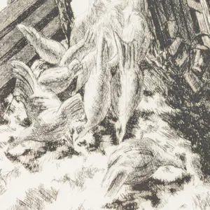 Ton de Kruyk - Kippenhok kopen? Bied vanaf 20!