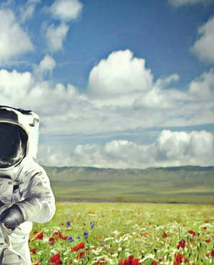 Mr. Strange - Champs de Fleurs sur la planète Terre kopen? Bied vanaf 50!