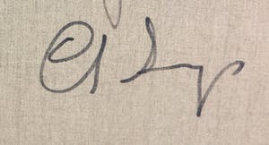 Christine Spierings - Olieverf op doek, Wedding - Ingelijst (Groot) kopen? Bied vanaf 1!