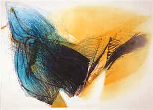 Hans Vredegoor - Kleurenets, Battle of Eden I verkocht voor € 35!