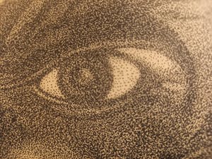 Niet of onleesbaar gesigneerd - oog met jonge vogel kopen? Bied vanaf 1!