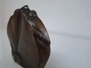 Gosse Dam - Frieslandpenning kopen? Bied vanaf 50!